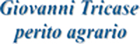 Logo di TRICASE GIOVANNI E GIUSEPPE - PERITI AGRARI