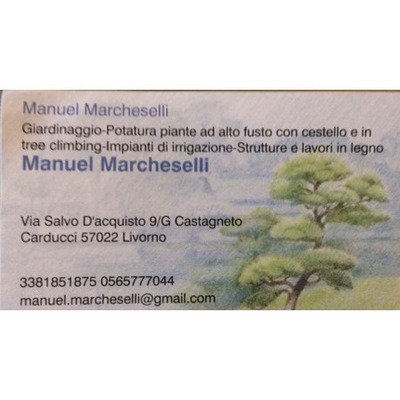 Logo di MARCHESELLI MANUEL