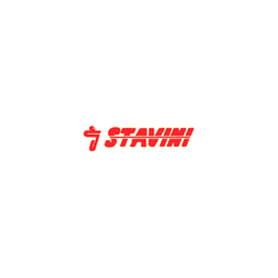 Logo di DITTA STAVINI
