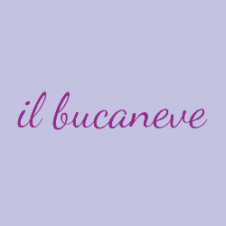 Logo di IL BUCANEVE