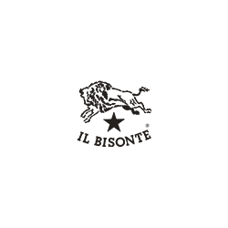 Logo di IL BISONTE