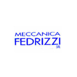 Logo di FEDRIZZI MECCANICA