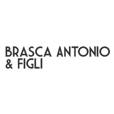 Logo di AUTOFFICINA BRASCA
