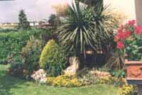 Logo di RICCI GIARDINI