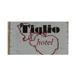 Logo di HOTEL IL TIGLIO