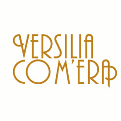 Logo di VERSILIA COM'ERA