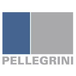 Logo di PELLEGRINI
