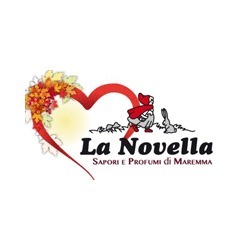 Logo di LA NOVELLA