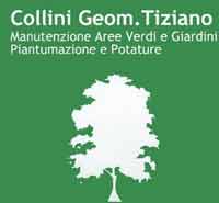 Logo di TIZIANO COLLINI