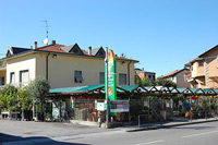 Logo di VERDE VIVO