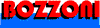 BOZZONI PIETRO GIUSEPPE & C. snc