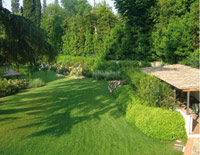 Logo di GIARDINAGGIO CATTANEO L. - MANUTENZIONE GIARDINI