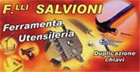 Logo di F.LLI SALVIONI snc