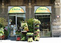 Logo di IL BALZO