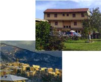Logo di ALBERGO CALIFORNIA