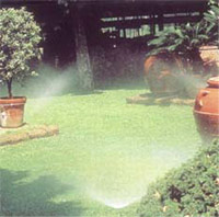 Logo di AGRARIA ISONTINA - GIARDINAGGIO - IMPIANTI DI IRRIGAZIONE - PISCINE