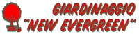 Logo di NEW EVERGREEN