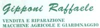 Logo di GIPPONI RAFFAELE