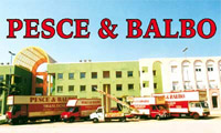 Logo di PESCE & BALBO