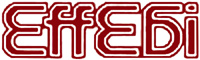 Logo di EFFEBI srl