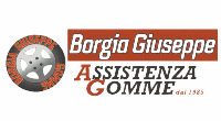 Logo di PNEUMATICI BORGIA