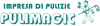 IMPRESA DI PULIZIA PULIMAGIC