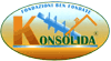 KONSOLIDA di BRANDI FILIPPO