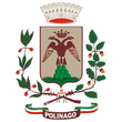 Logo di COMUNE DI POLINAGO