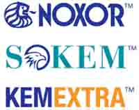 Logo di NOXORSOKEMGROUP srl