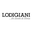 Logo di LODIGIANI GIORGIO