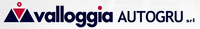 Logo di VALLOGGIA AUTOGRÙ