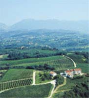 Logo di CASE BIANCHE srl - TENUTA COL SANDAGO - CANTINA E NEGOZIO AZIENDALE