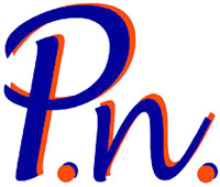 Logo di P.N. IMPIANTI