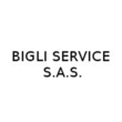 Logo di BIGLI SERVICE