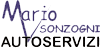 AUTOSERVIZI MARIO SONZOGNI srl