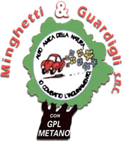 Logo di MINGHETTI & GUARDIGLI snc