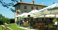 Logo di QUI WOLF SAURIS
