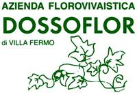 Logo di AZIENDA FLOROVIVAISTICA DOSSOFLOR