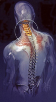 Logo di RINALDI DR. ANTONIO