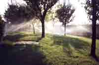 Logo di IRRIGREEN