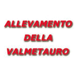 Logo di CANILE STELLA POLARE - ALLEVAMENTO DELLA VAL METAURO - PENSIONE PER CANI E GATTI
