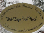 Logo di ALLEVAMENTO DEL PASTORE TEDESCO LAGO VAL NOCI