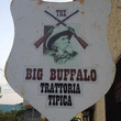 Logo di BIG BUFFALO