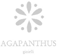 Logo di AGAPANTHUS GIOIELLI