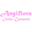 Logo di ANGIFLORA IORIO CARMELA