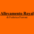 Logo di ALLEVAMENTO ROYAL