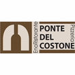 Logo di RISTORANTE PIZZERIA PONTE DEL COSTONE