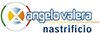 Logo di NASTRIFICIO ANGELO VALERA - PRODUZIONE NASTRI