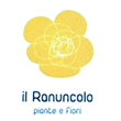 Logo di IL RANUNCOLO