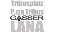 Logo di FOTO GASSER